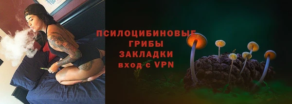прущий лед Аркадак