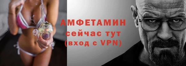 молекула духа Арсеньев