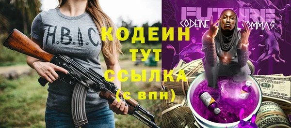 молекула духа Арсеньев