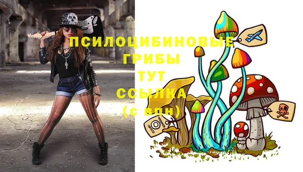 прущий лед Аркадак