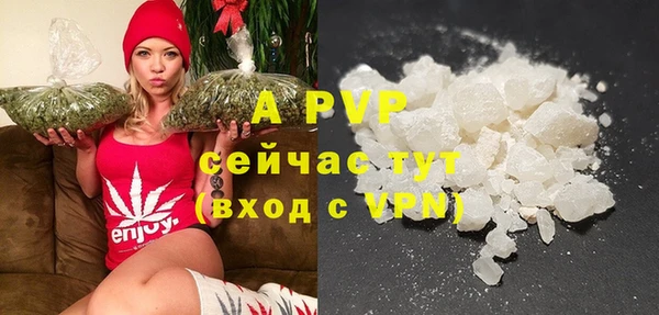 молекула духа Арсеньев