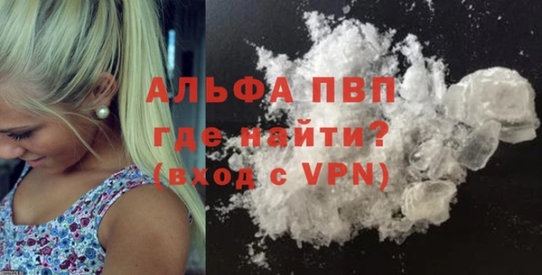 молекула духа Арсеньев