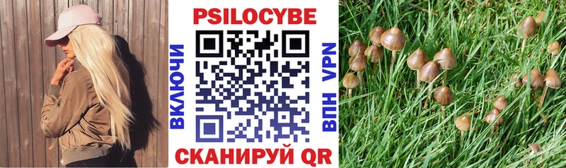 Галлюциногенные грибы Cubensis  Купить закладки  Грязовец 